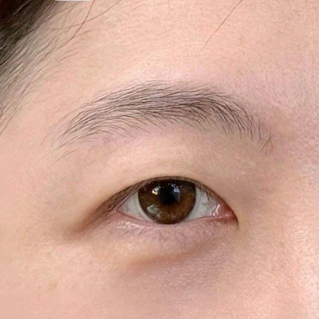 Moderate brow hair