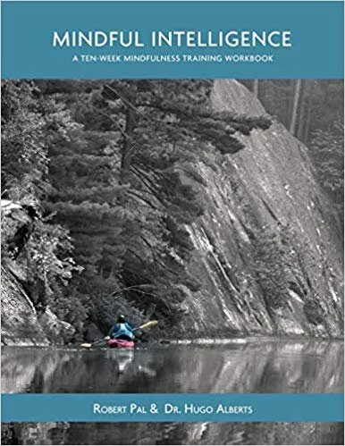 Book cover: Mindful Intelligence by Robert Pal