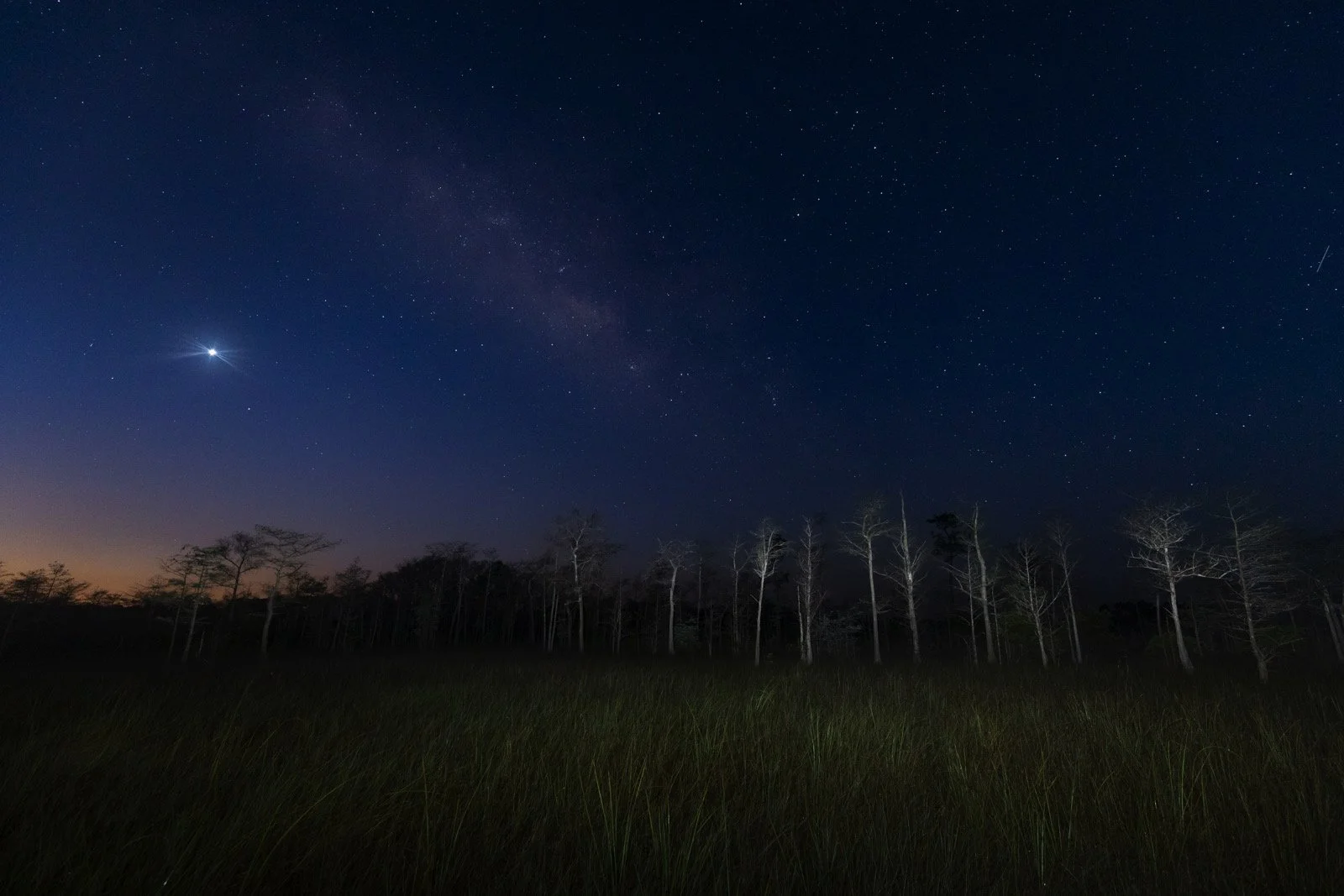 Placeholder for a Big Cypress night sky photograph