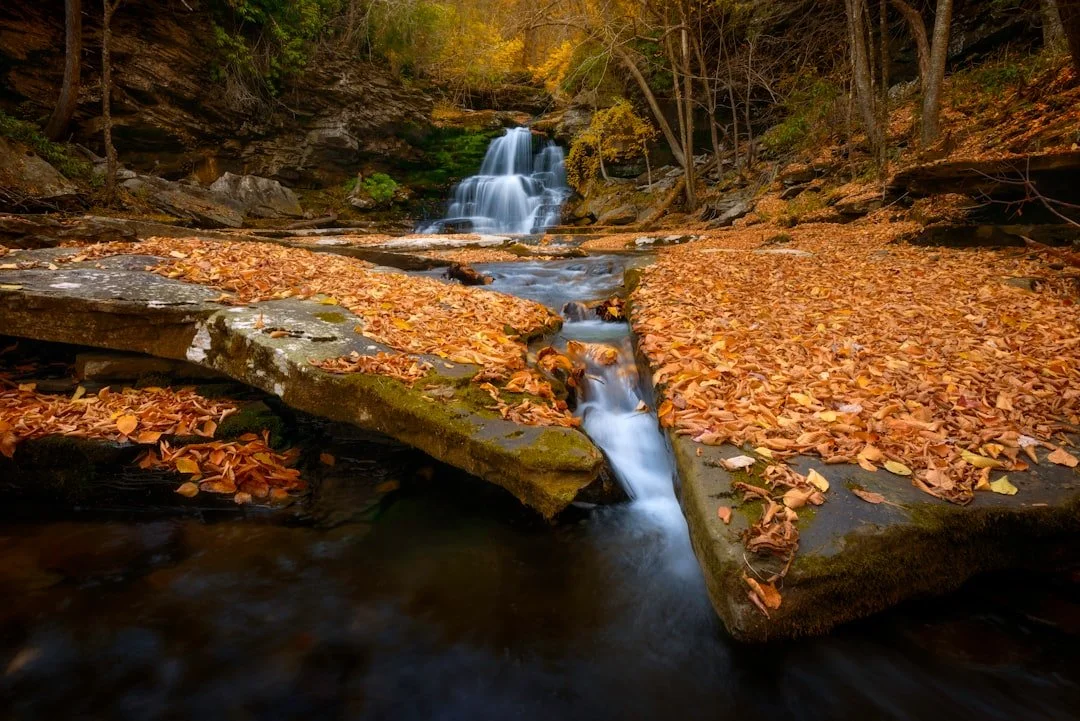 Waterfall flowing through a wooded landscape; illustrative placeholder photograph
