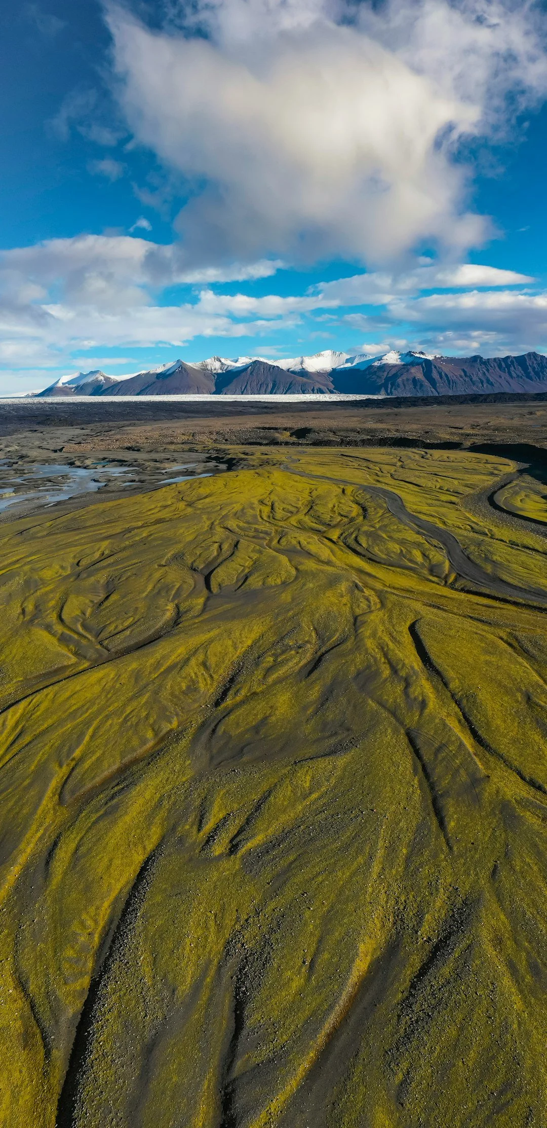 Natural textures and details in an Icelandic landscape