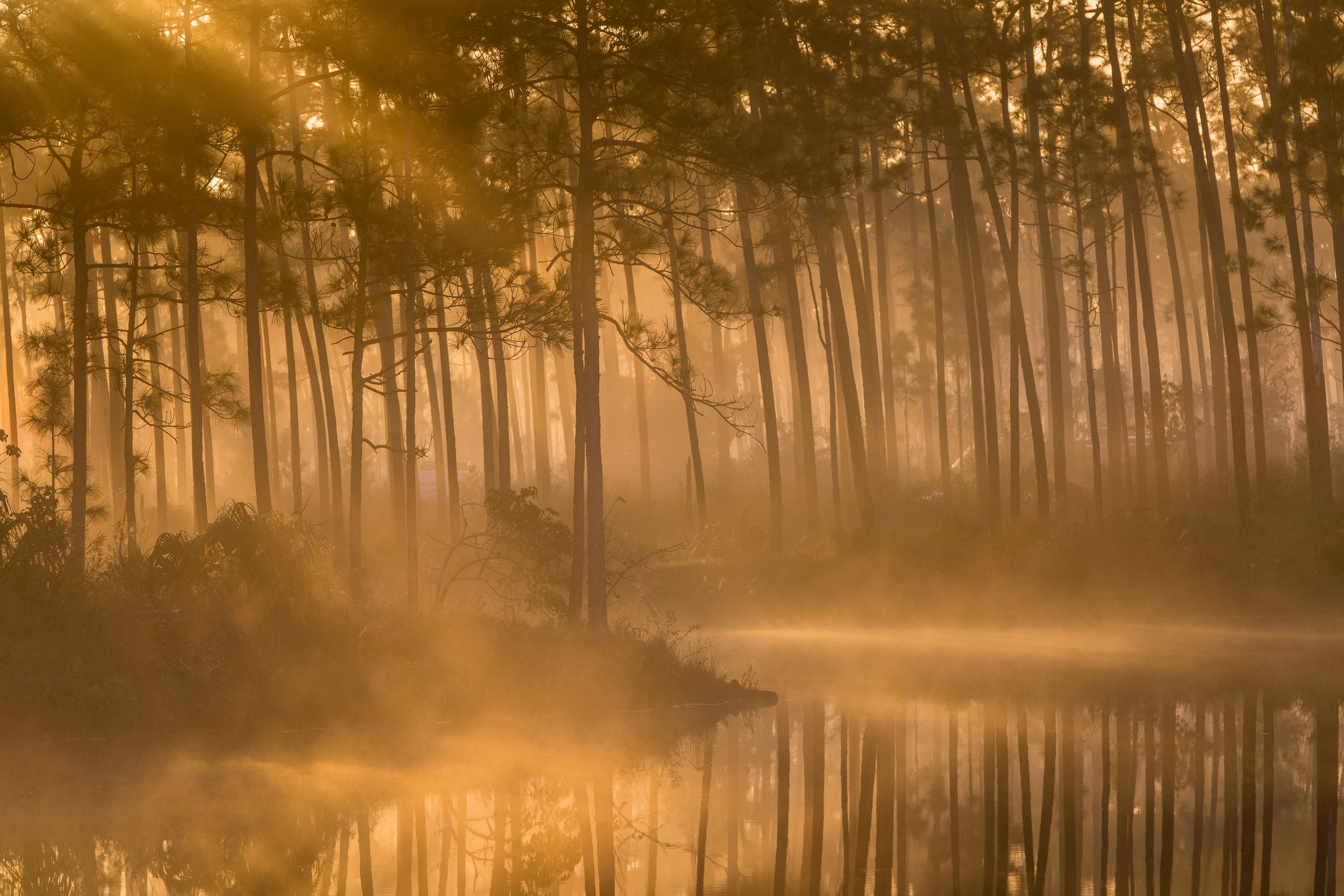 Placeholder for Everglades golden-hour landscape