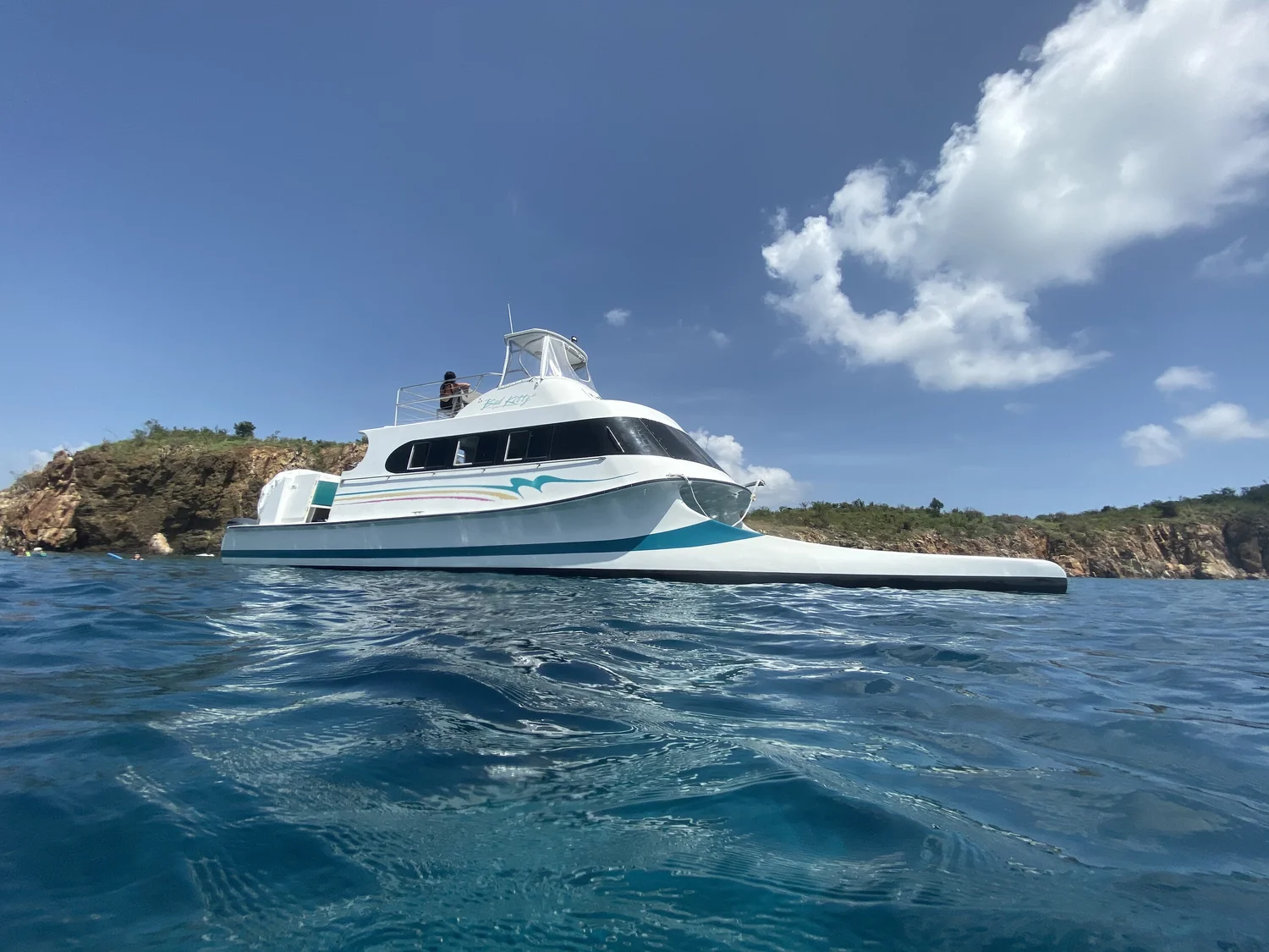 Bad Kitty and Calypso Charters business image