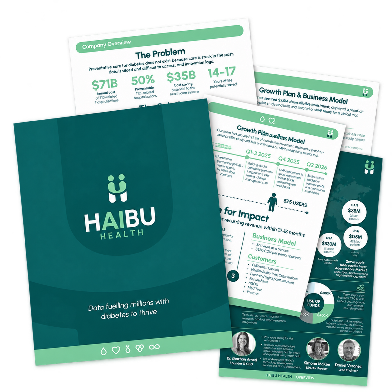 Four-page Haibu Health company overview with branded diagrams and business information