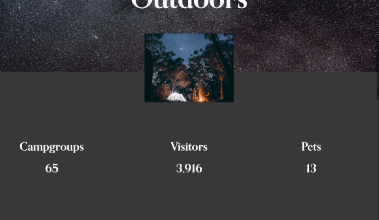 Count Up Animation in Squarespace