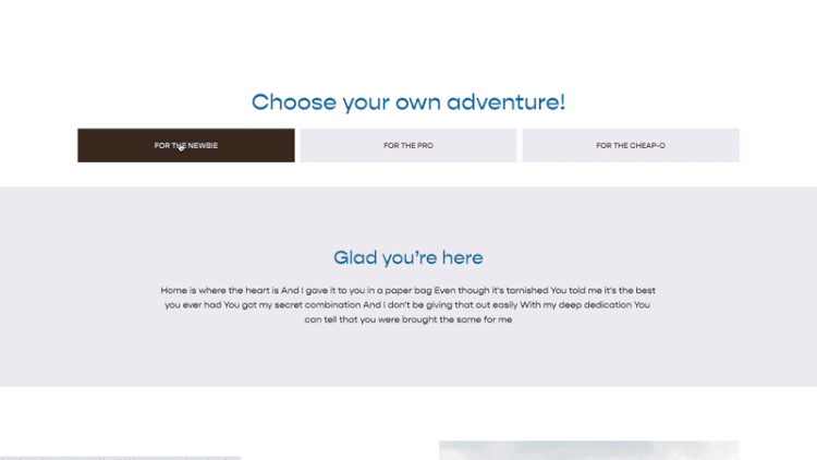 Choose Your Own Adventure.gif