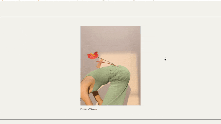 Image Randomizer Gallery Section.gif