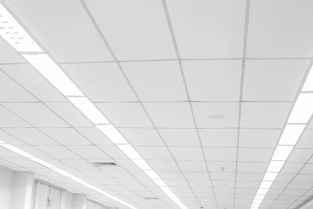 Plafonds