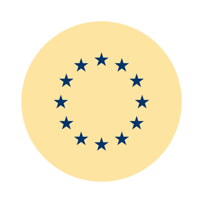 European CSO Network - Policy engagement