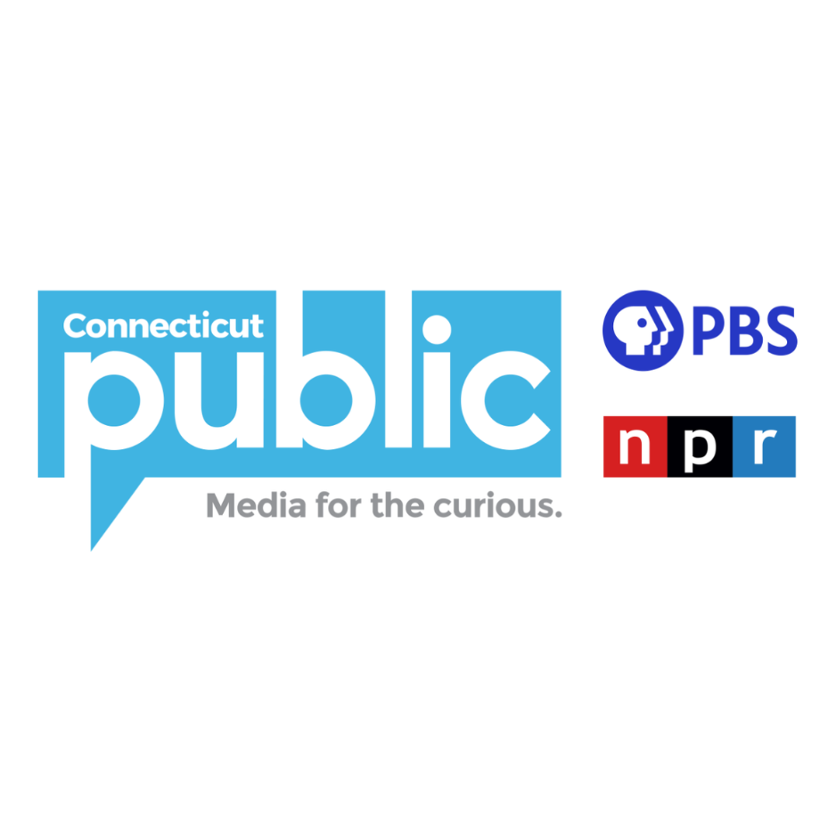 CT Public Logo