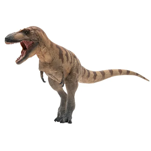 PNSO Prehistoric Dinosaur Models: 73 Cole the Daspletosaurus