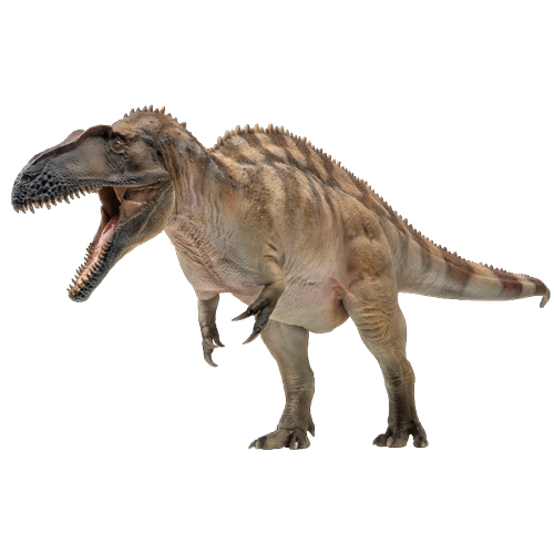 PNSO Prehistoric Dinosaur Models: 61 Fergus the Acrocanthosaurus