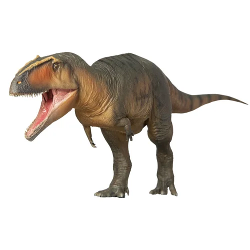 PNSO Dinosaur Museums Series: 17 Lucas the Giganotosaurus