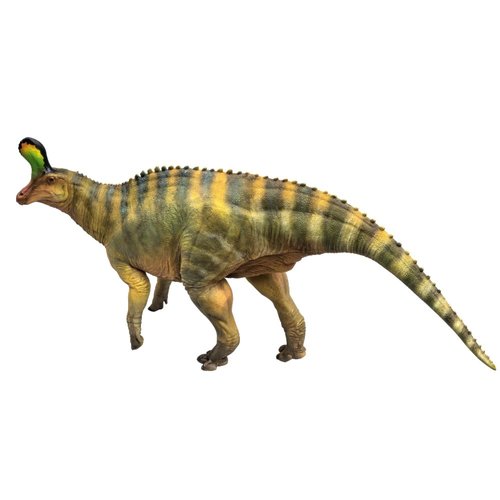 PNSO Dinosaur Museums Series: 15 XiaoQin the Tsintaosaurus