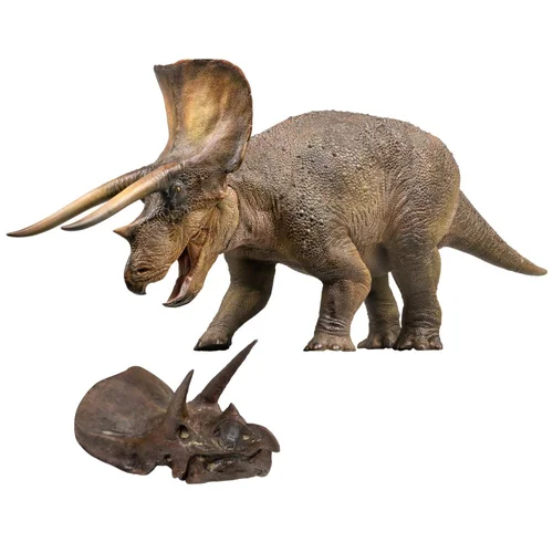 PNSO Dinosaur Museums Series: 13 Doyle the Triceratops