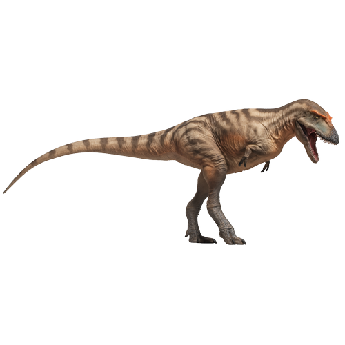 PNSO Prehistoric Dinosaur Models: 71 Tristan the Gorgosaurus