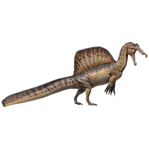 PNSO Dinosaur Museums Series: 19 Aymen the Spinosaurus