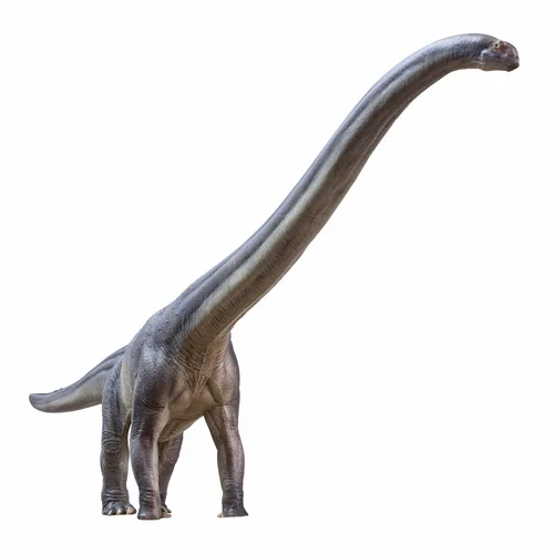 PNSO Dinosaur Museums Series: 12 ER-MA the Mamenchisaurus