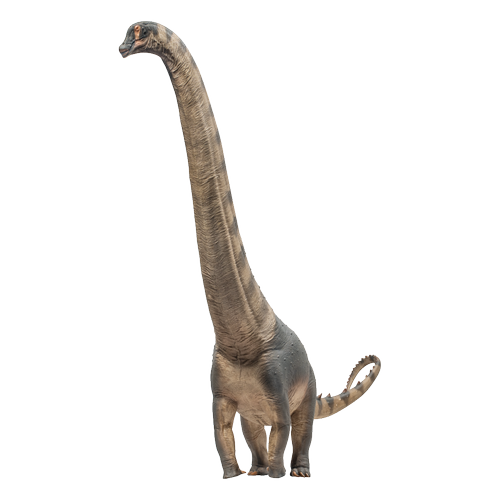 PNSO Prehistoric Dinosaur Models: 79 Samuel the Alamosaurus