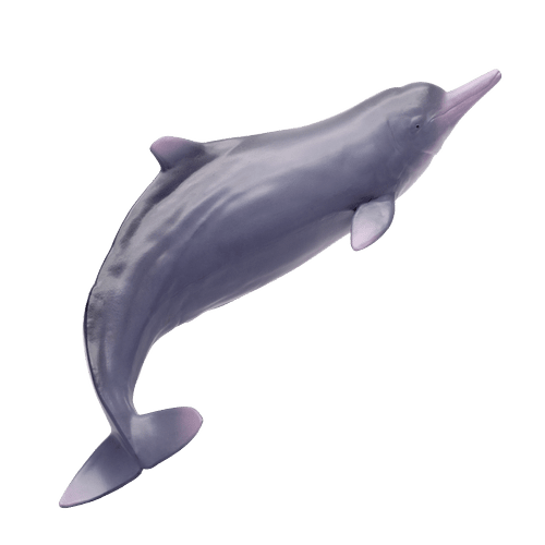 PNSO Living Animal Models: 17 Xibao the Chinese White Dolphin
