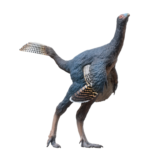 PNSO 93 Junlang the Caudipteryx model