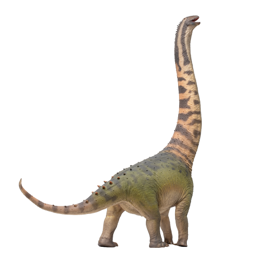 PNSO Dinosaur Museums Series: 20 Huigui the Hongkongsaurus