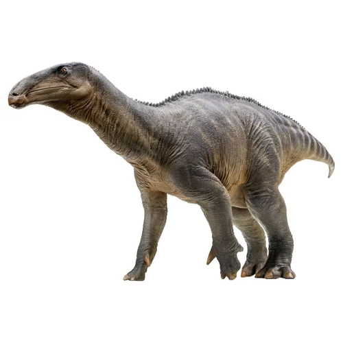 PNSO Dinosaur Museums Series: 14 Harvey the Iguanodon