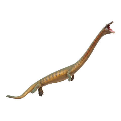 PNSO Prehistoric Animal Models: 91 Xiaochong the Dinocephalosaurus