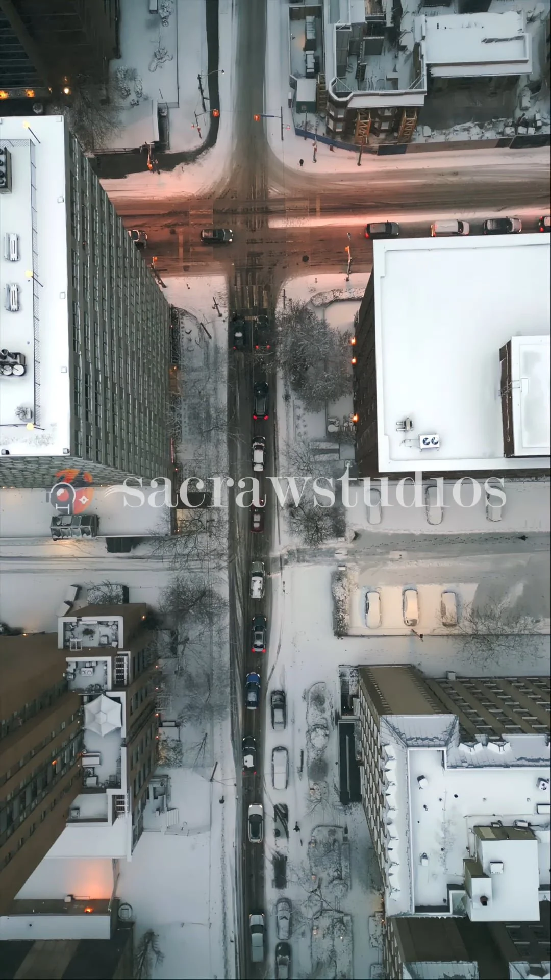 Toronto Winter Close-Up Vertical