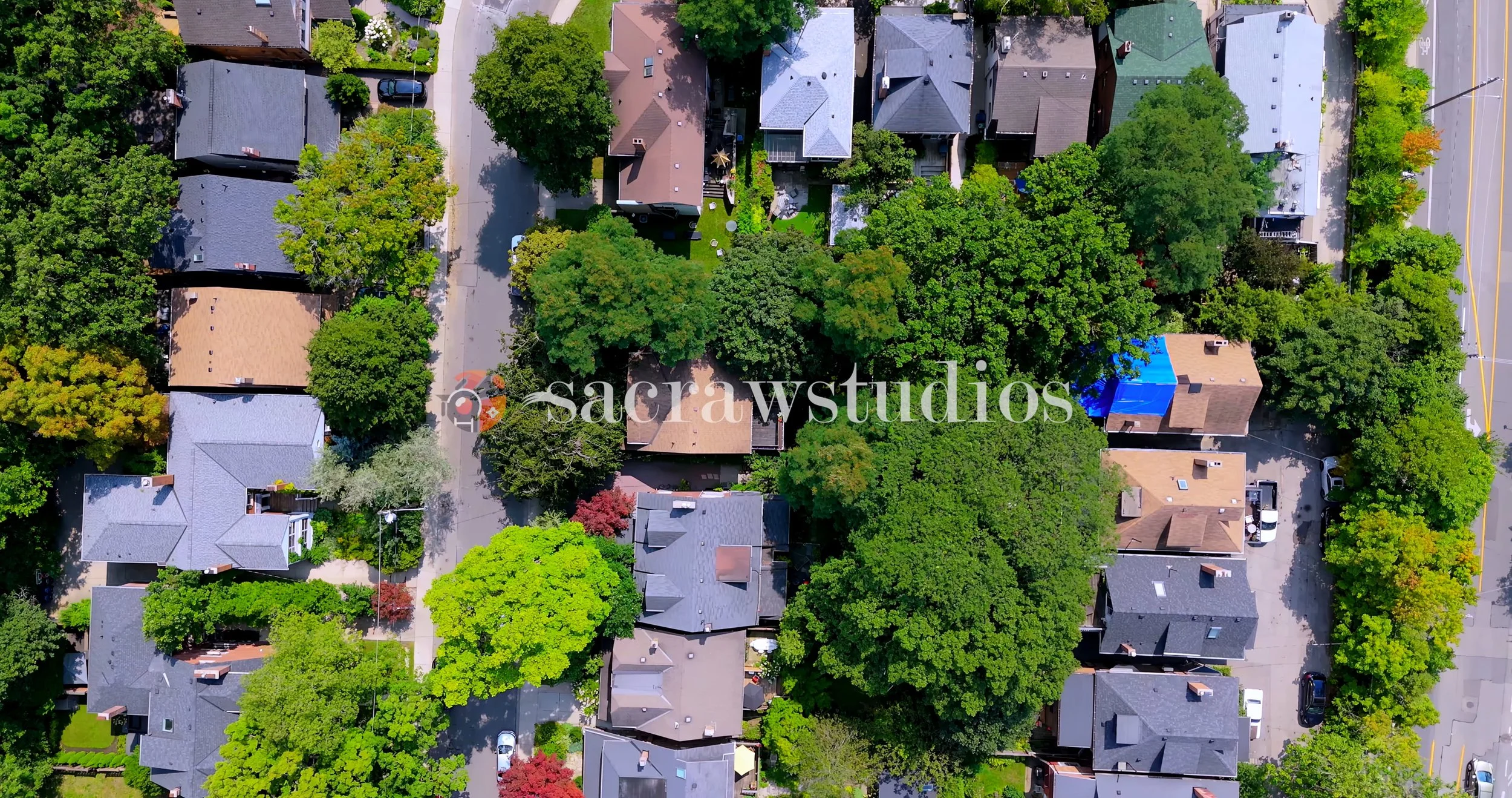 Summer Neighborhood Canopy Aerial