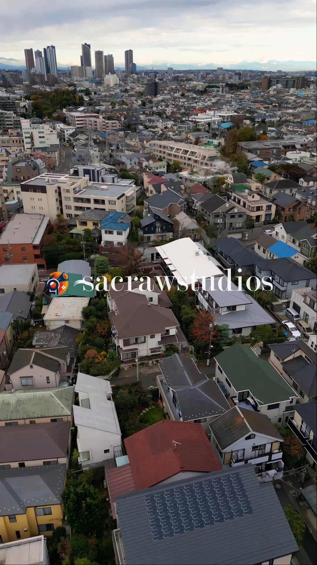 Tokyo Suburb Rooftops Vertical