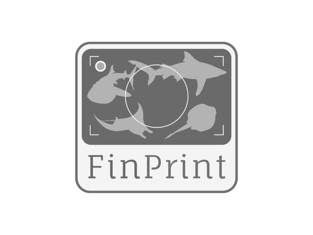 Client 6 Logo