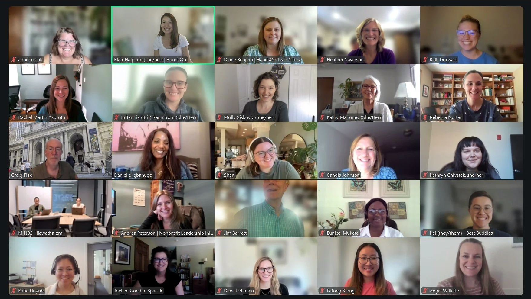 Connected for Change screenshot of nonprofits and skilled volunteers in a Zoom room