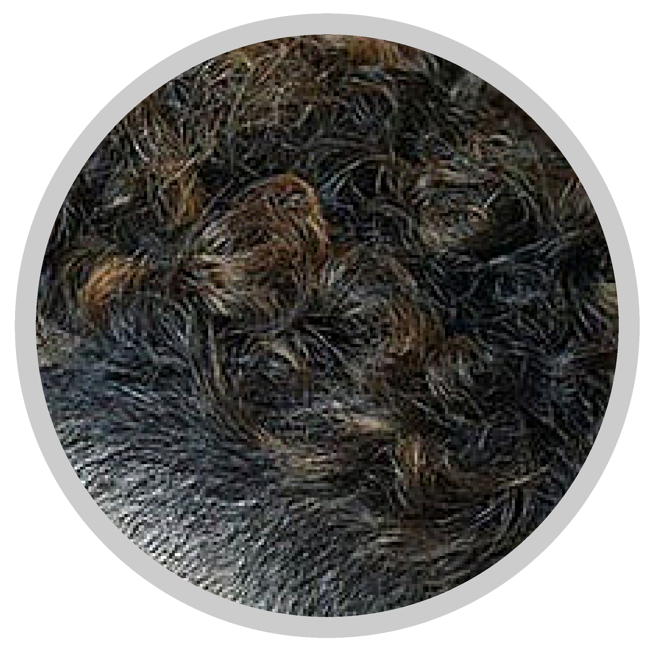 Curly