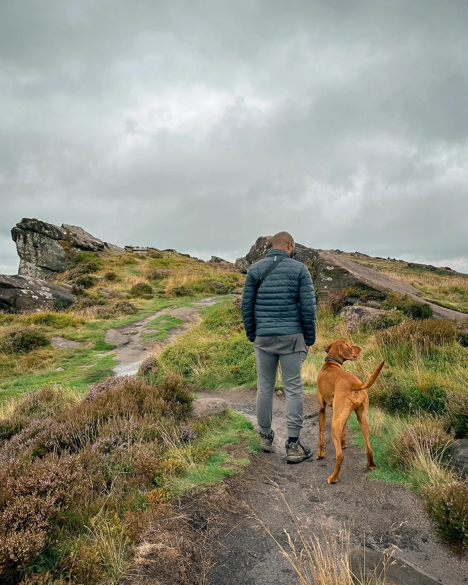 A person and dog walking through an open landscape