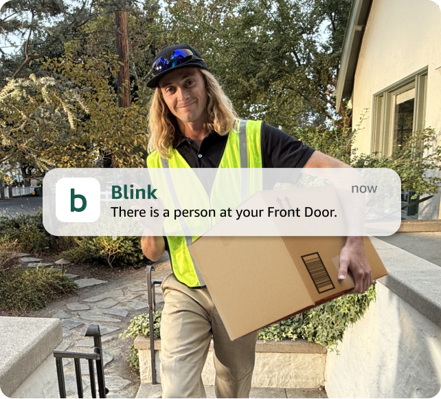 Blink Basic Plans
