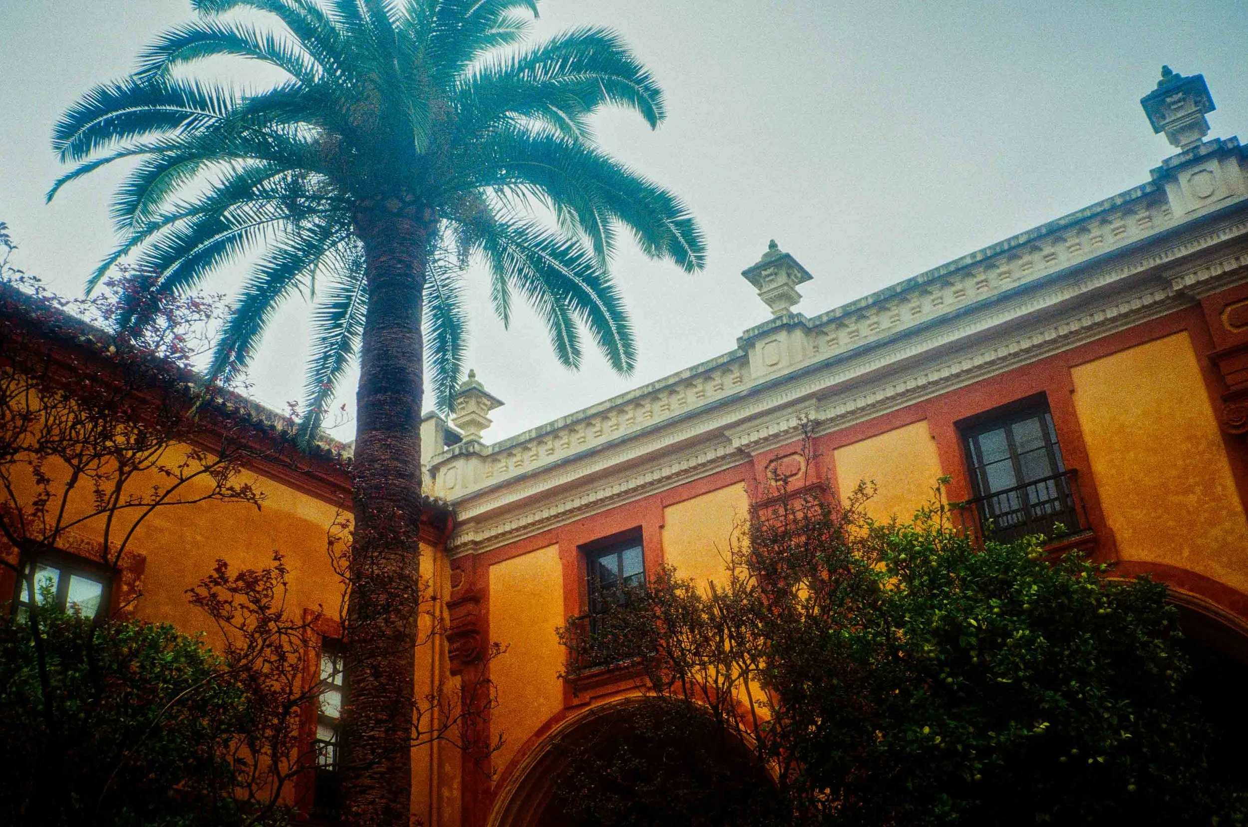 Real Alcazar palace garden Sevilla Andalusia Spain 35mm film