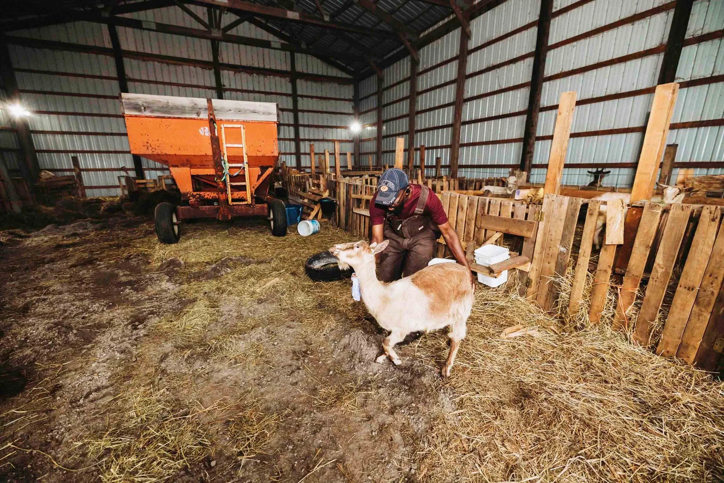 Farm life in Minnesota