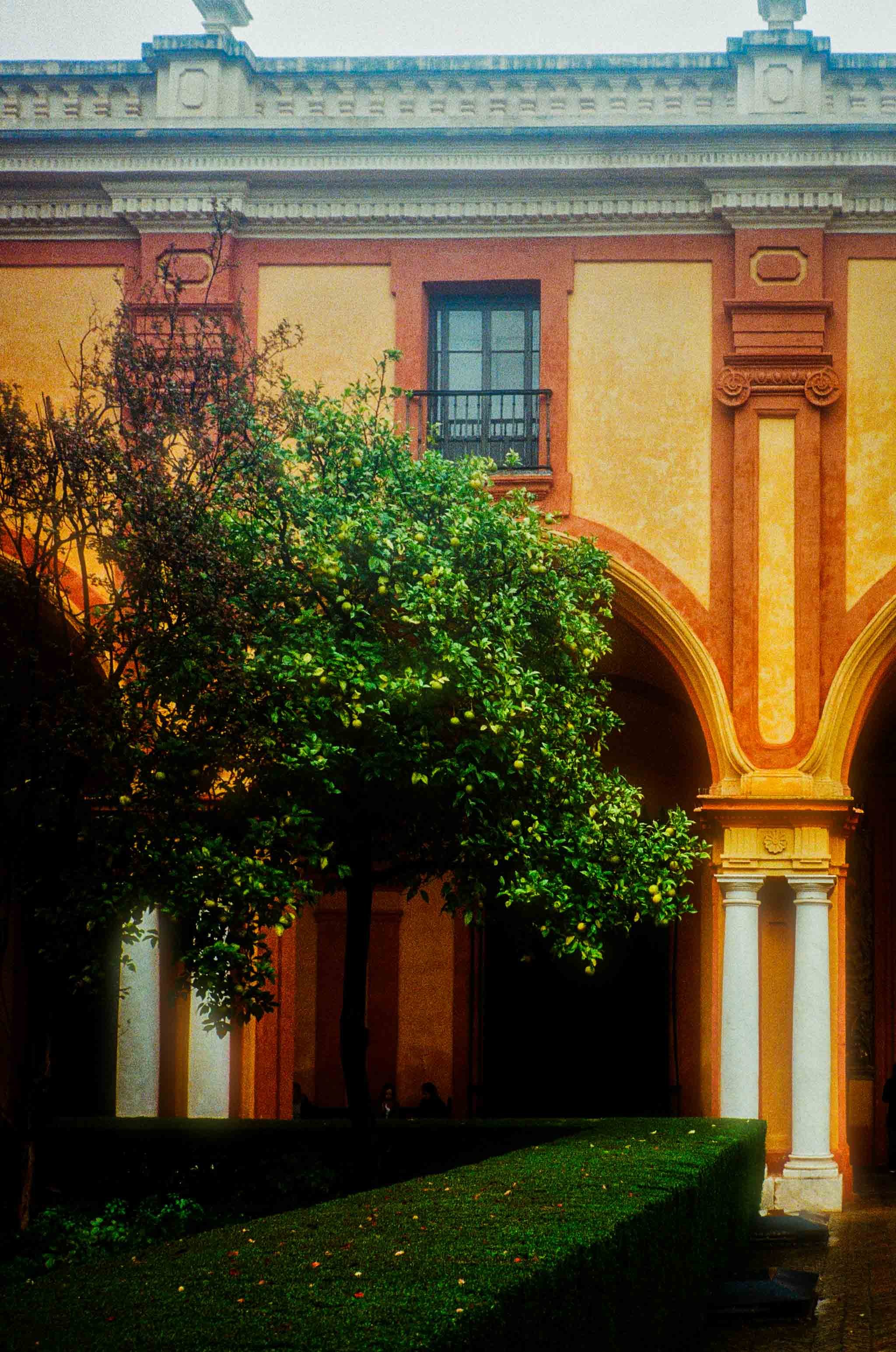 Real Alcazar Sevilla Spain tiles arches 35mm analog photography