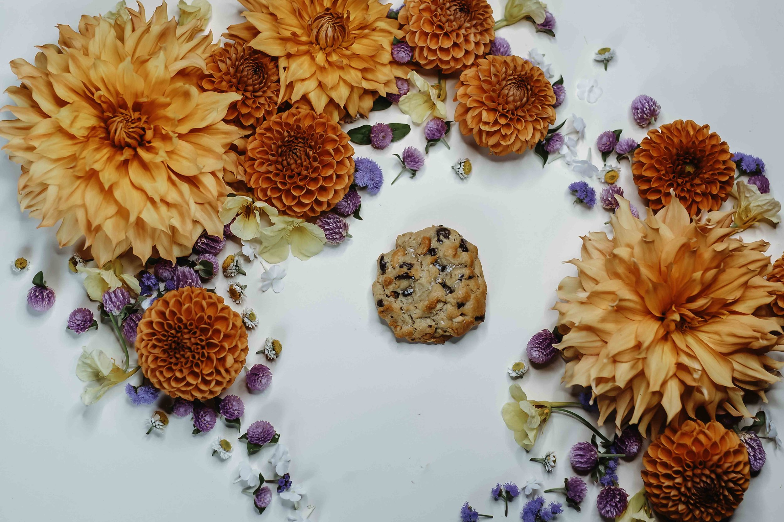 Lifestyle Interaction