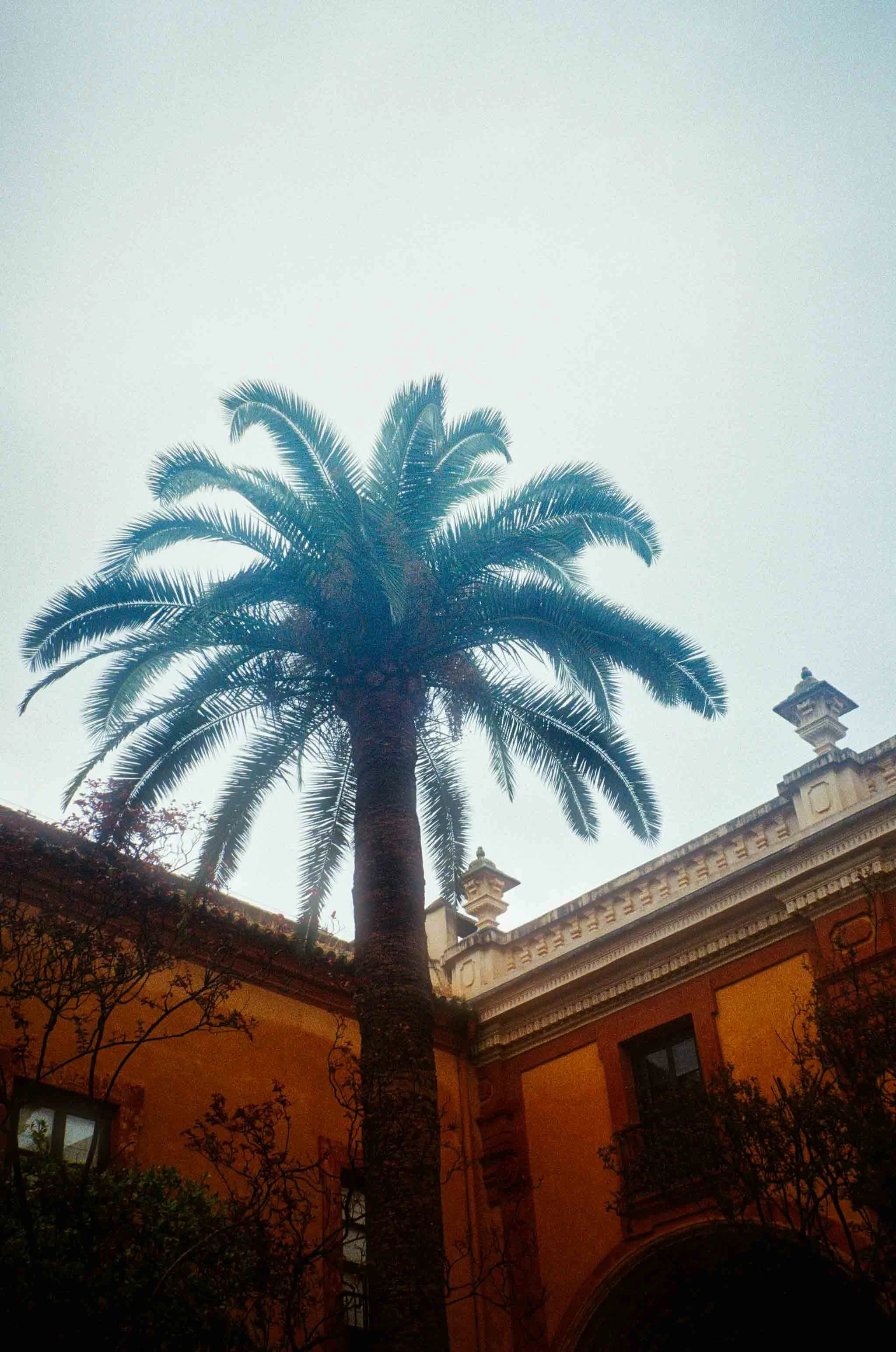 Real Alcazar Sevilla Spain tiles arches 35mm analog photography