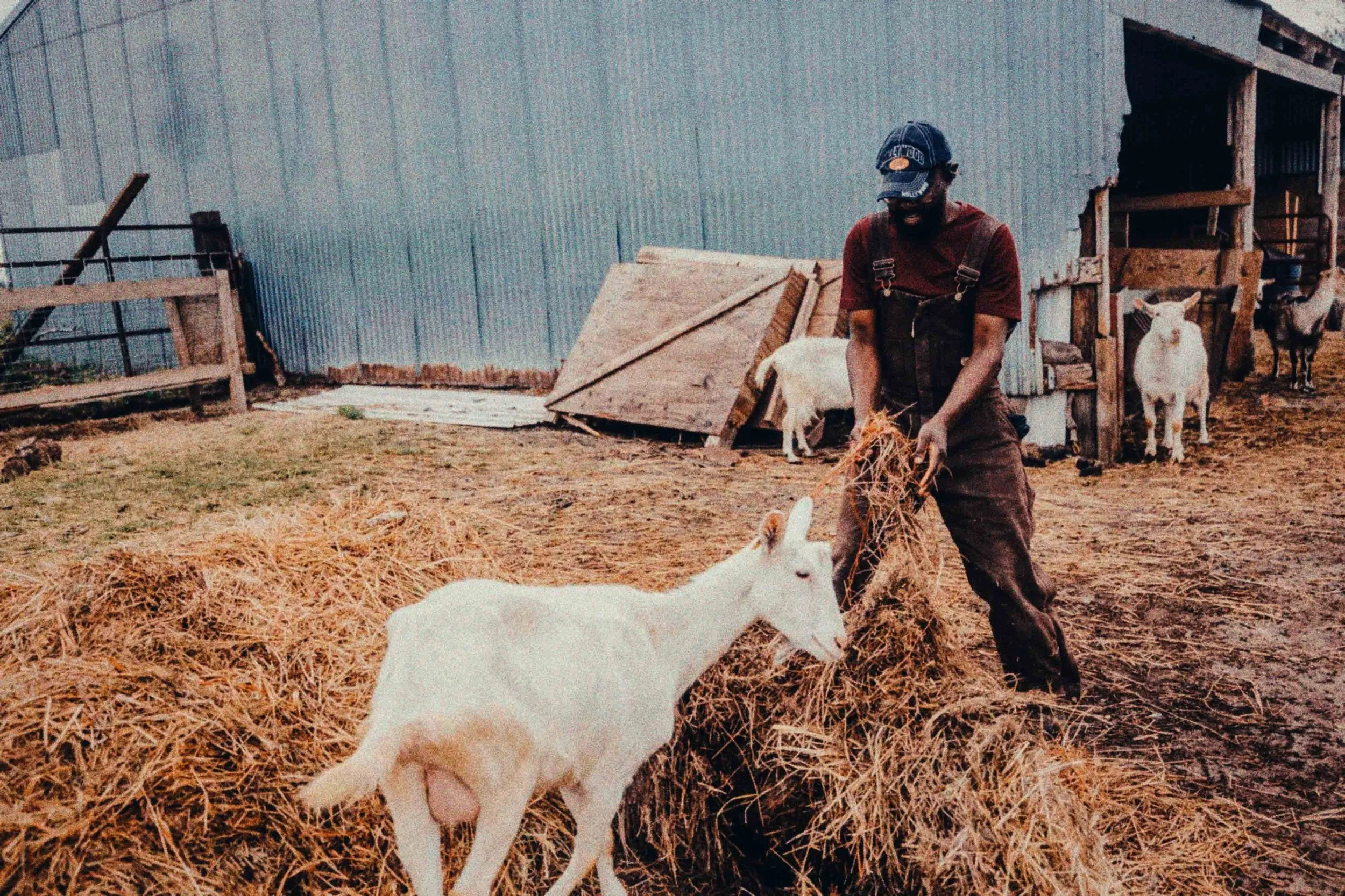Kenyan farmer, Big Lake — Chapter 2