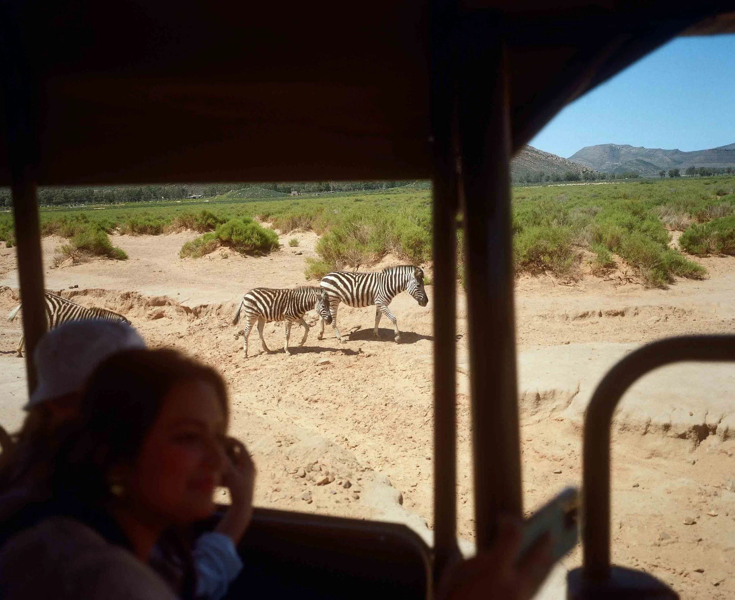 Aquila game reserve 2024