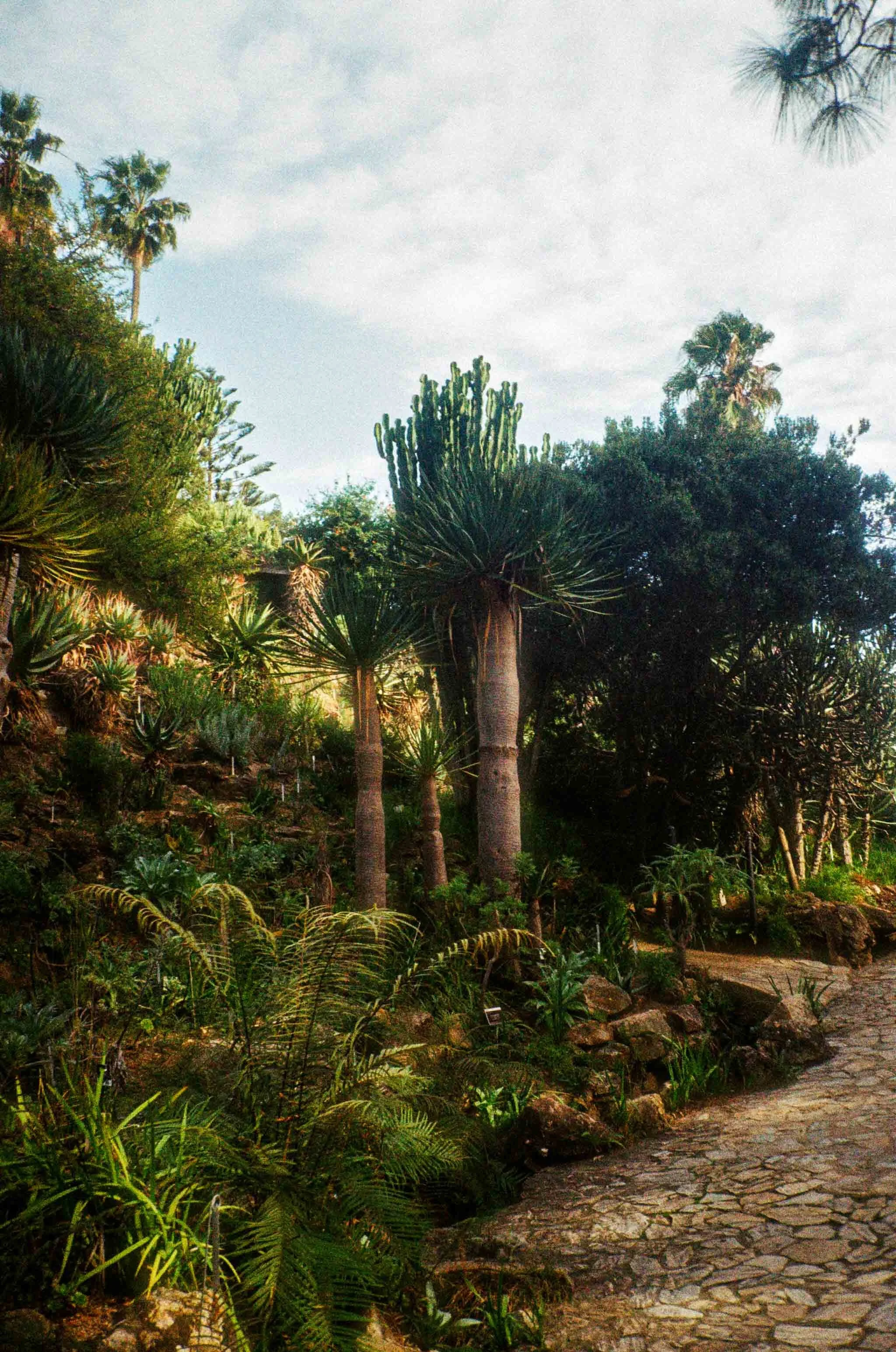 Barcelona coast Mediterranean 35mm film photography Spain