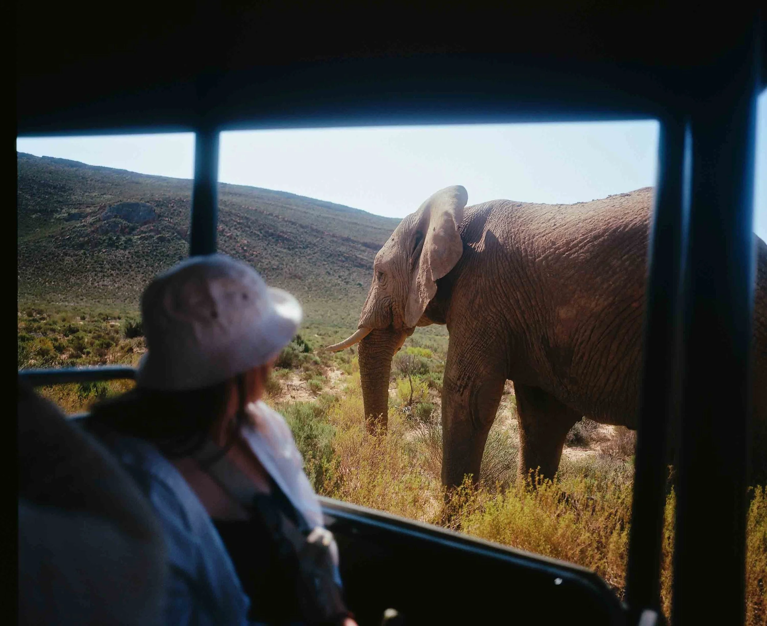 Aquila game reserve 2024