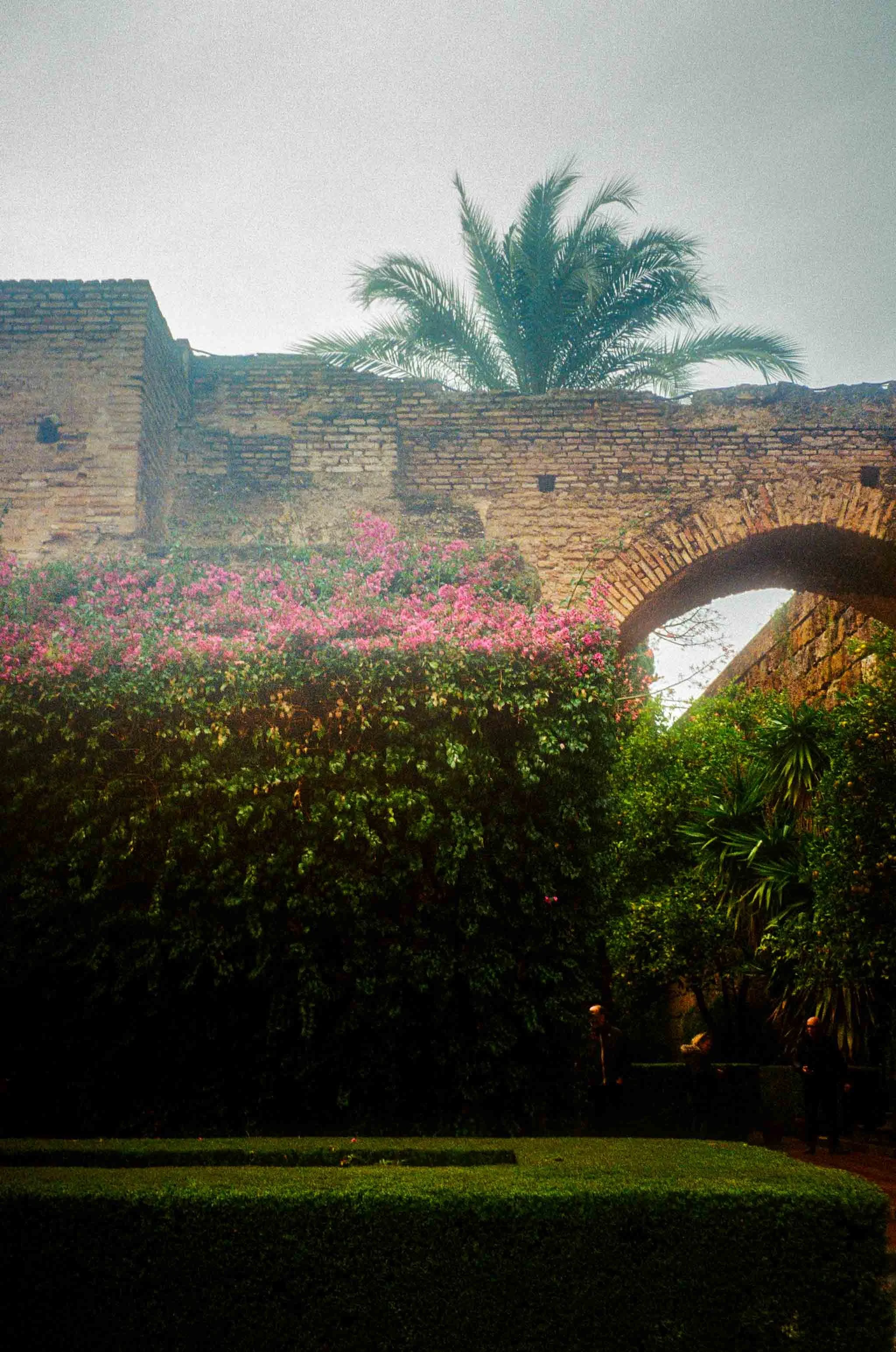 Real Alcazar palace garden Sevilla Andalusia Spain 35mm film