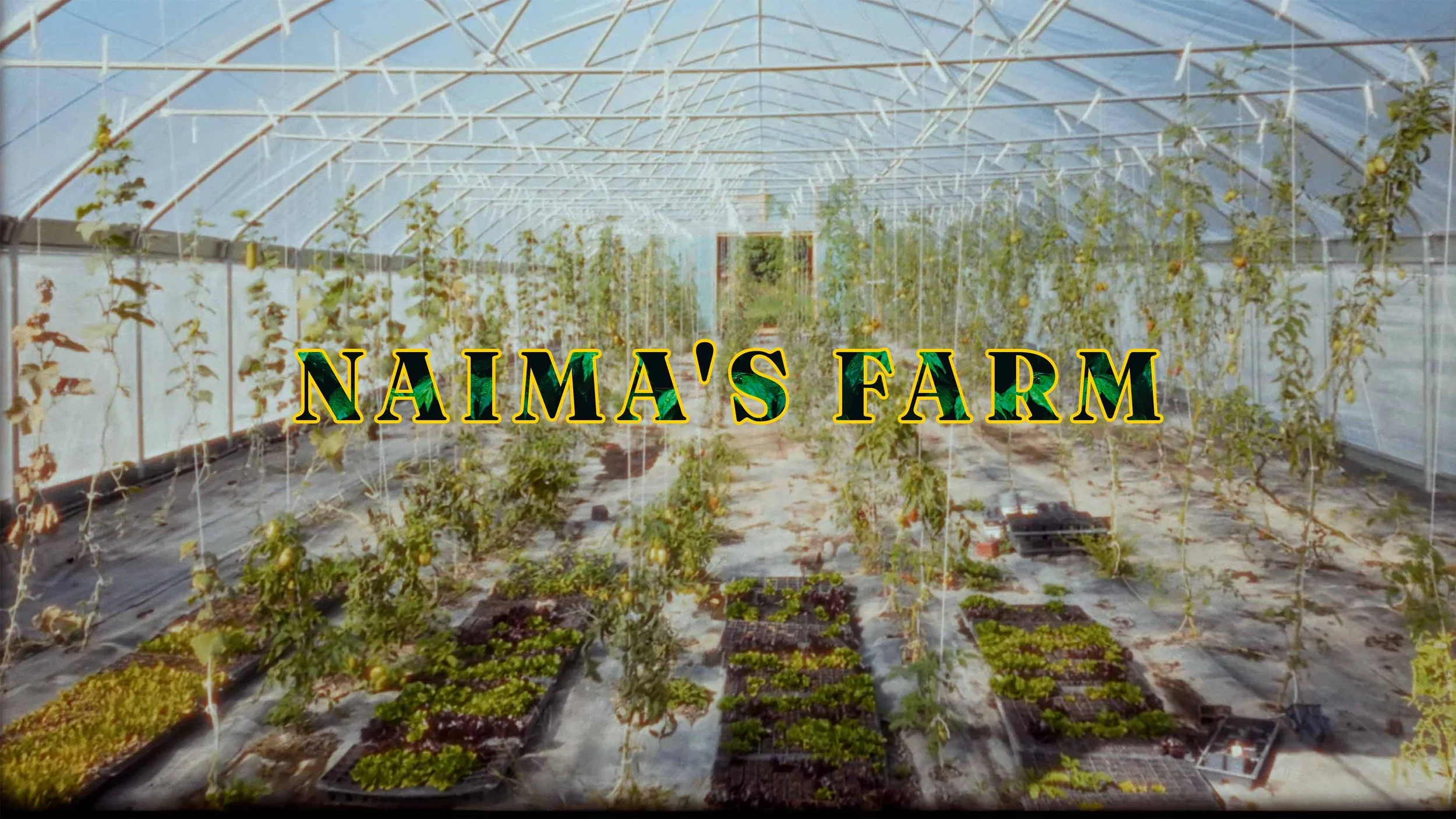 Naima's Farm