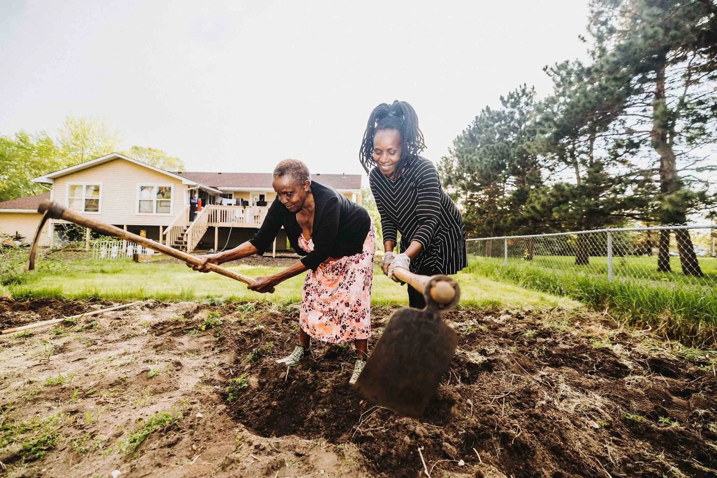 Preparing the garden — Chapter 1