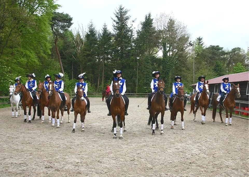 Carrouselles