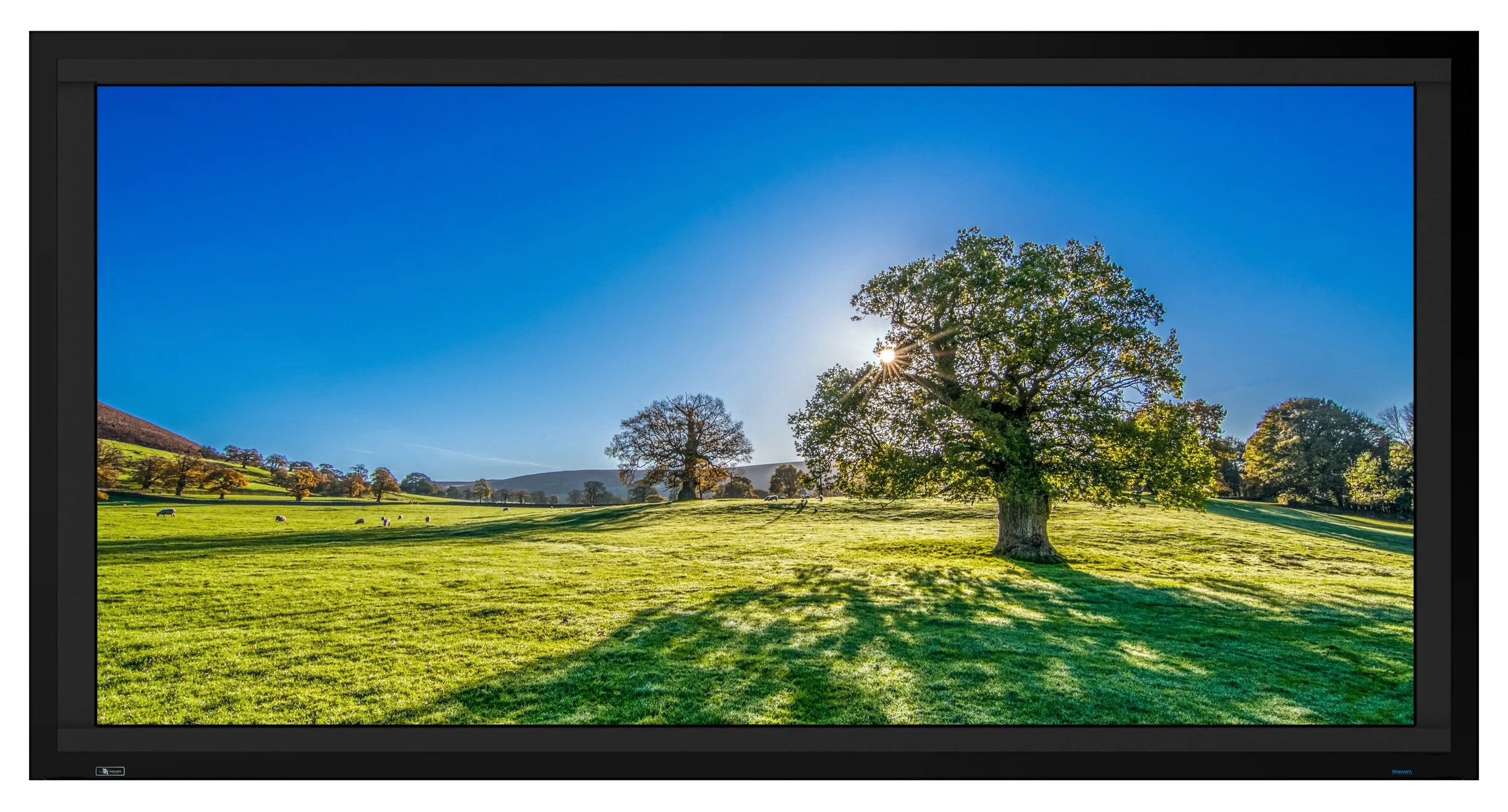Stewart Filmscreen Director's Choice EVO four way masking screen framing a widescreen landscape image with black velvet masking on all four sides
